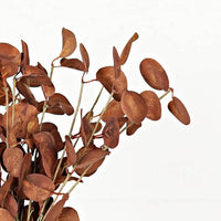 16in Pick Silver Dollar Leaves-Coffee
