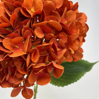 Full Bloom Hydrangea 27" - Burnt Orange