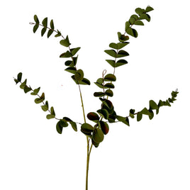 EVA Boxwood Pick - Dark Green 19"