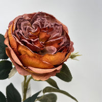 FauxDried English Rose 24" - Burnt Orange