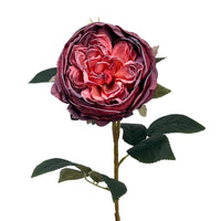 FauxDried English Rose 24" - Rouge