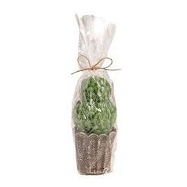 Double Round Topiary Candle
