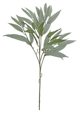 Needleleaf Eucalyptus Branch, 31", Grey