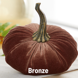 Pumpkin Large Velvet, Bronze