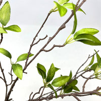 Wild Myrtle Branch 46" - Green