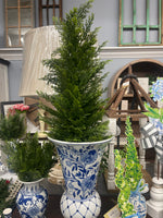 22.5” Soft Cedar Tree in Pot