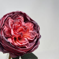FauxDried English Rose 24" - Rouge