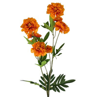 Ruffled Cosmos Stem 32.5" - Orange