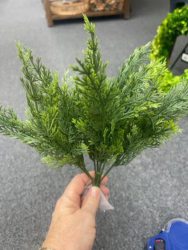 11.5 Cedar Bush