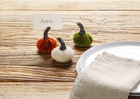 Velvet Pumpkin Placecard Holder