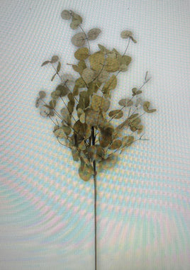 36 Inch Green Two-Tone Eucalyptus Stem