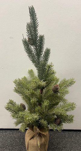 24” Noble Pine Tree in Burlap Sack