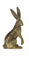 Bea Bunny