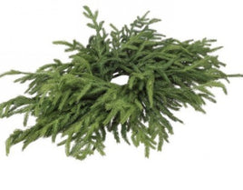 24" Norfolk Pine Centerpiece
