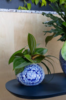 Eleanor Collection Vase