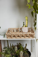 Grazia Tray Set of 2