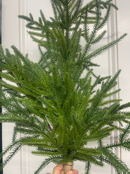 30” Norfolk Drop/Pick