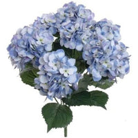 Hydrangea Bush with 7 Silk Blooms and Foliage