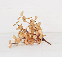 12in Bush-Silver Dollar Leaves-Beige
