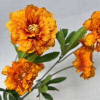Ruffled Cosmos Stem 32.5" - Orange