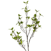 Wild Myrtle Branch 46" - Green