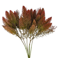 Lagurus Bundle 18" - x6 - Copper