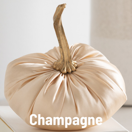 Satin Pumpkin Champagne
