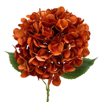 Full Bloom Hydrangea 27" - Burnt Orange