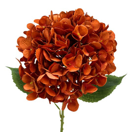 Full Bloom Hydrangea 27" - Burnt Orange