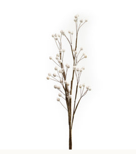 Berry Stem
