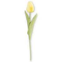 Real Touch Tulip Stem