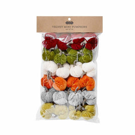 VELVET TINY PUMPKIN SET