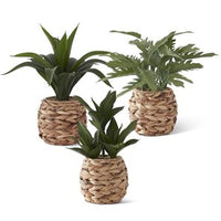 Foliage in Woven Round Basket