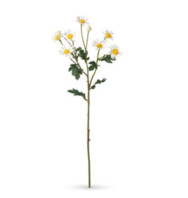 Miniature Daisy Spray