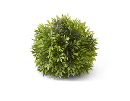 6 INCH PODOCARPUS BALL