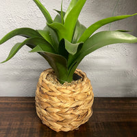 Foliage in Woven Round Basket