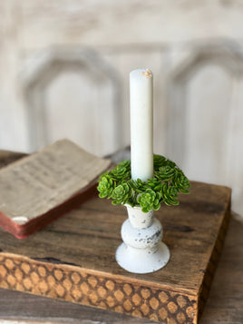 Mini Stonecrop Candle Ring | 3"