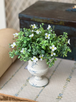 Heart's Ease Half Sphere | 10" | White